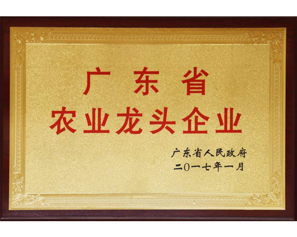 廣東省農業(yè)龍頭企業(yè)