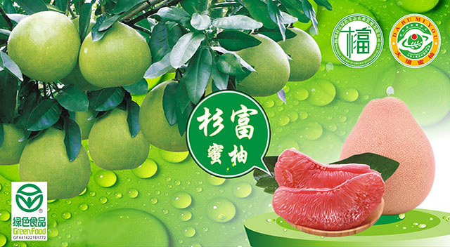 大圖2
